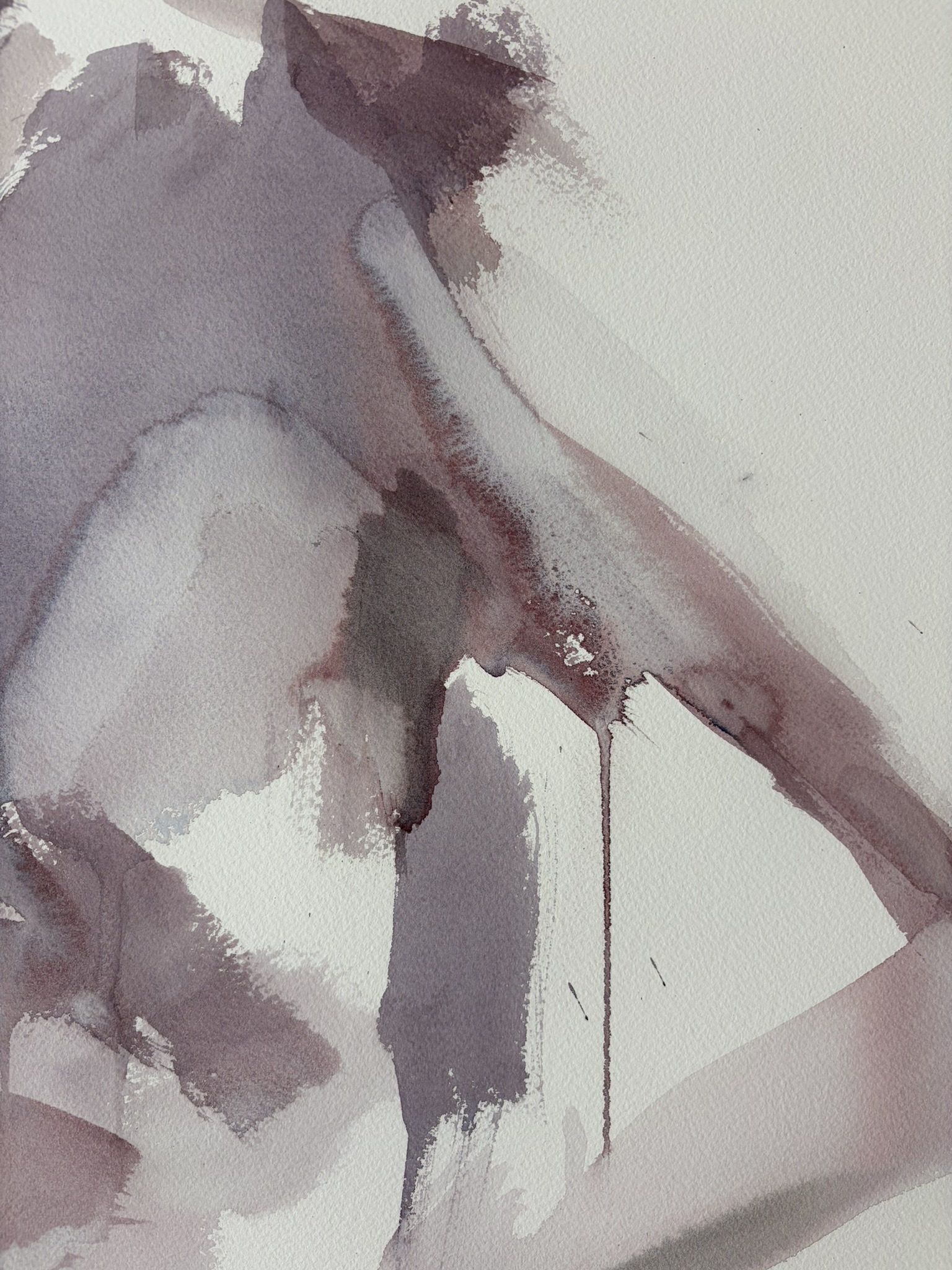 Detail of watercolor washes and paper texture